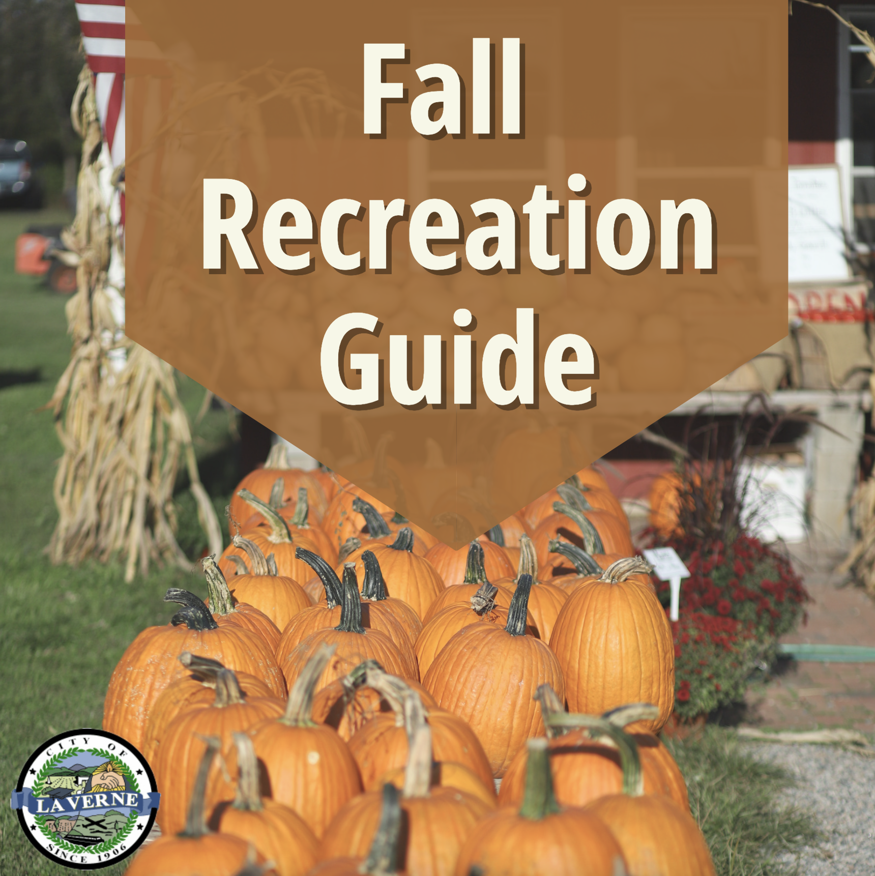 Fall_guide