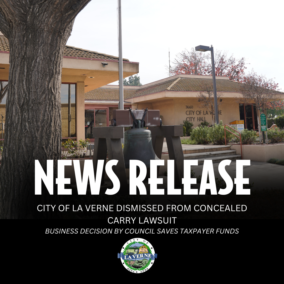 Copy of Mayor and Mayor Pro Tem Rotation (1)